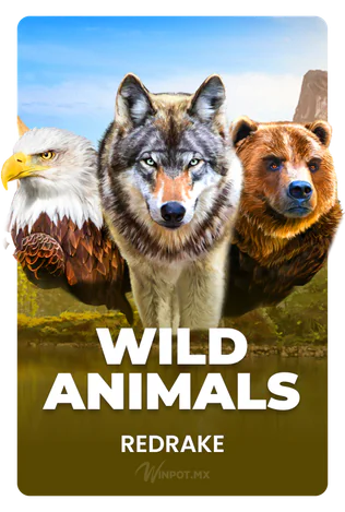 Wild Animals