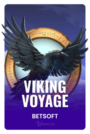 Viking Voyage