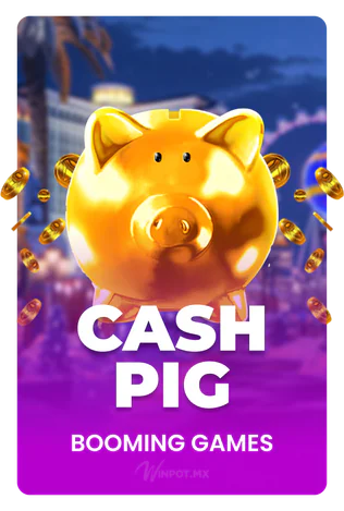 Cash Pig