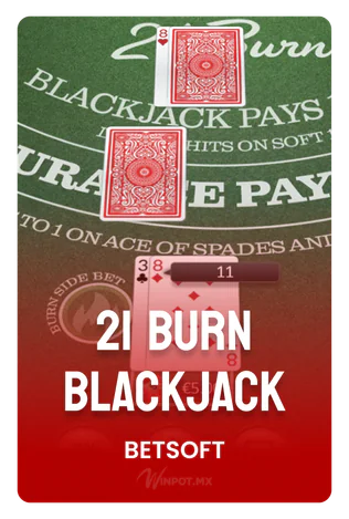 21 Burn Blackjack