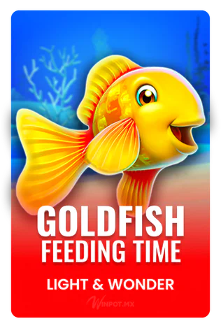Goldfish Feeding Time