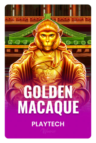 Golden Macaque