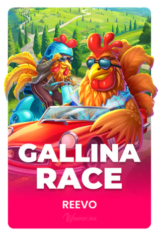 Gallina Race