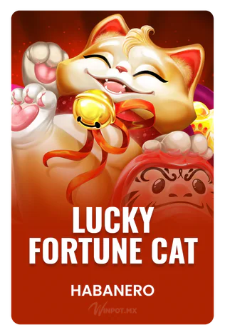 Lucky Fortune Cat