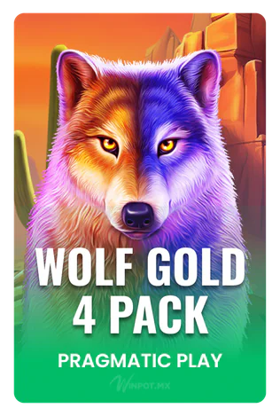 Wolf Gold 4 Pack