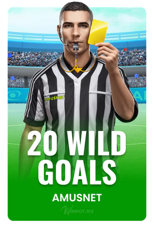 20 Wild Goals