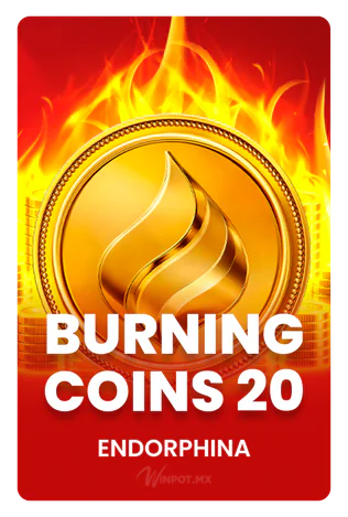 Burning Coins 20