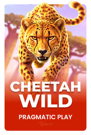 Cheetah Wild